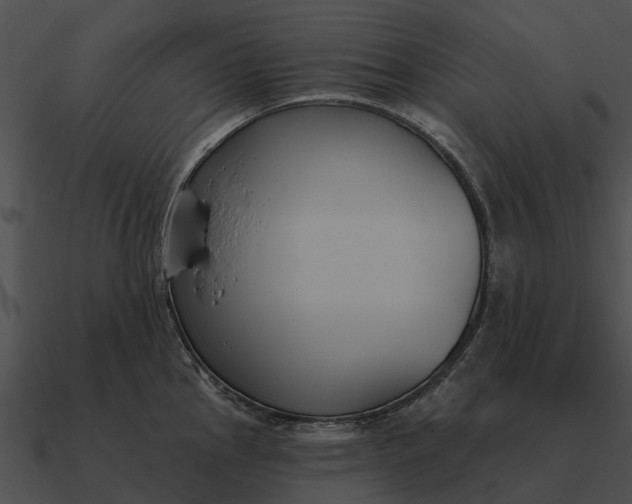 X0000090711145200708031428