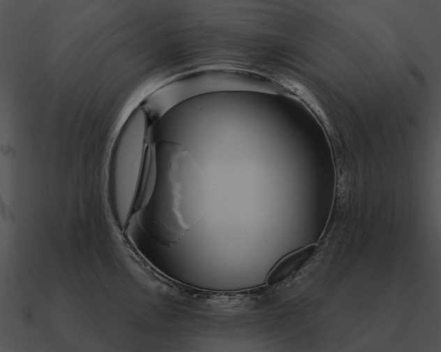 X0000090711146200708031428