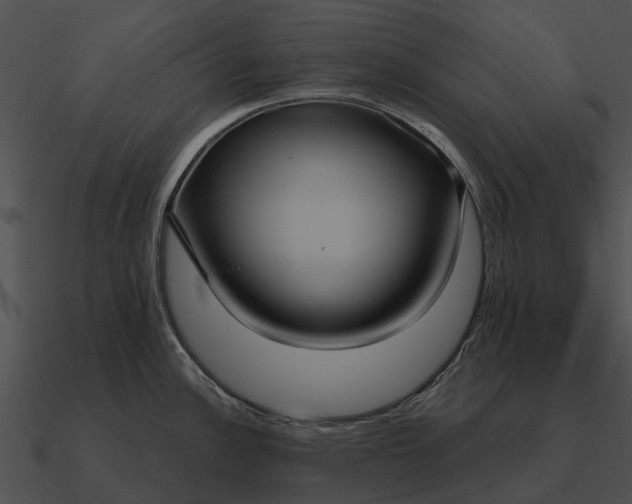 X0000090711148200708031428