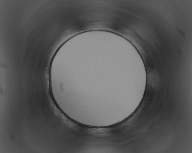 X0000090711150200708031428