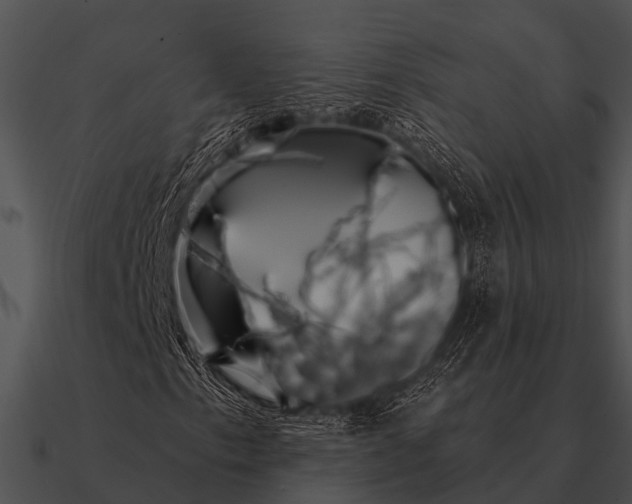 X0000090711153200708031427