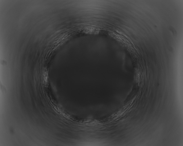 X0000090711154200708031427