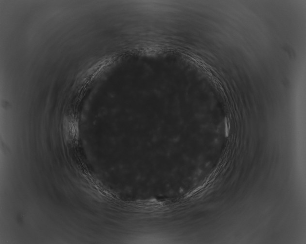 X0000090711155200708031427