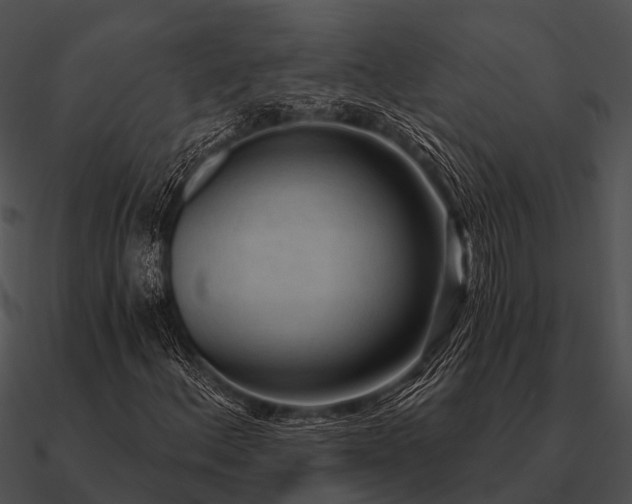 X0000090711156200708031427