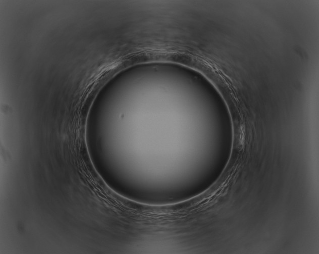 X0000090711157200708031427