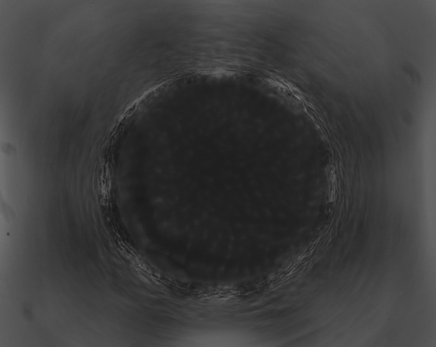 X0000090711158200708031427