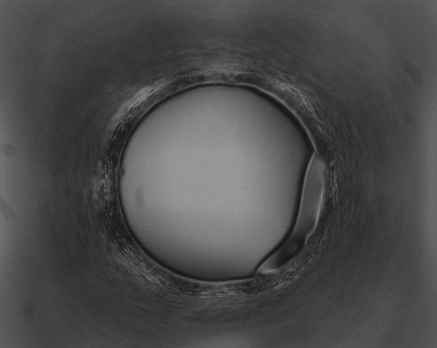 X0000090711159200708031427