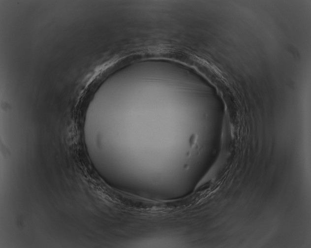 X0000090711160200708031427