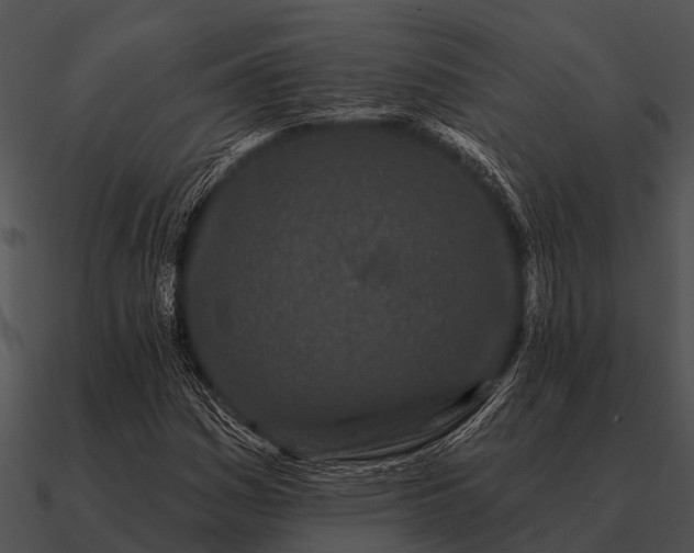 X0000090711161200708031427