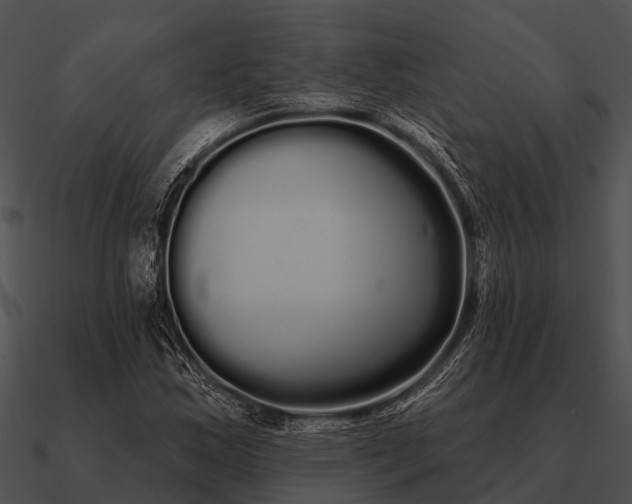 X0000090711163200708031427