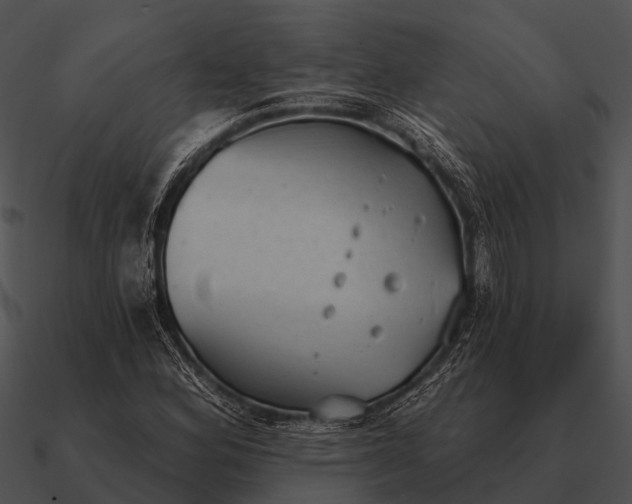 X0000090711164200708031427