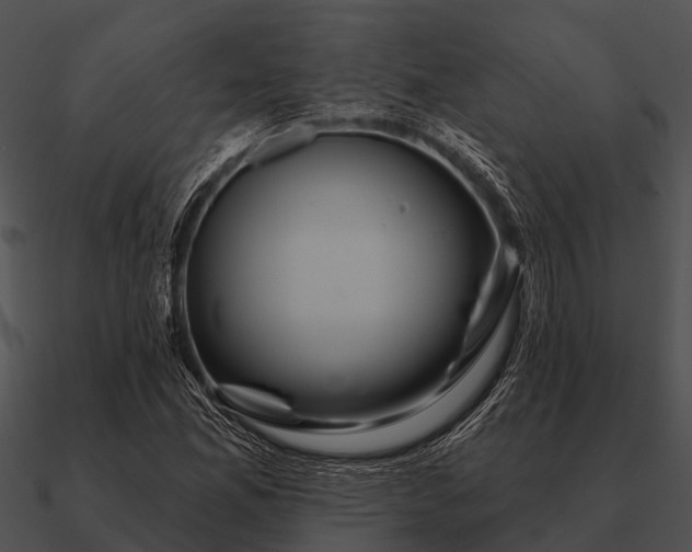 X0000090711165200708031427