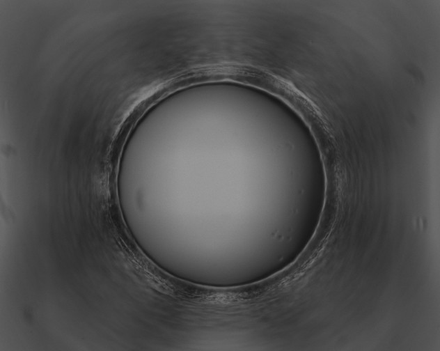 X0000090711166200708031427