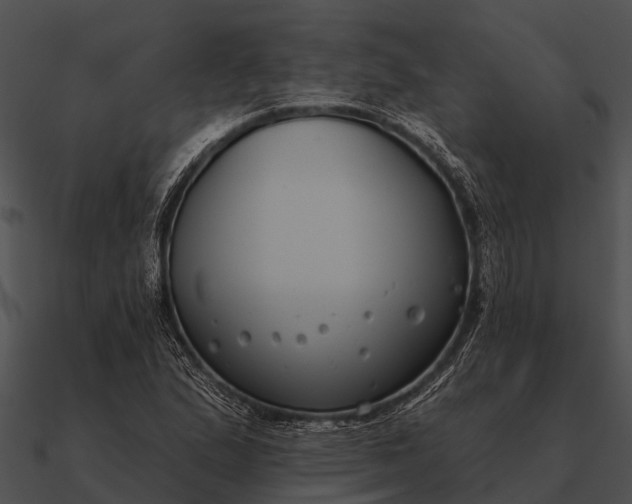 X0000090711167200708031427