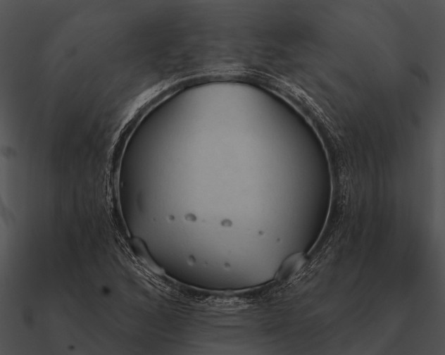 X0000090711168200708031427