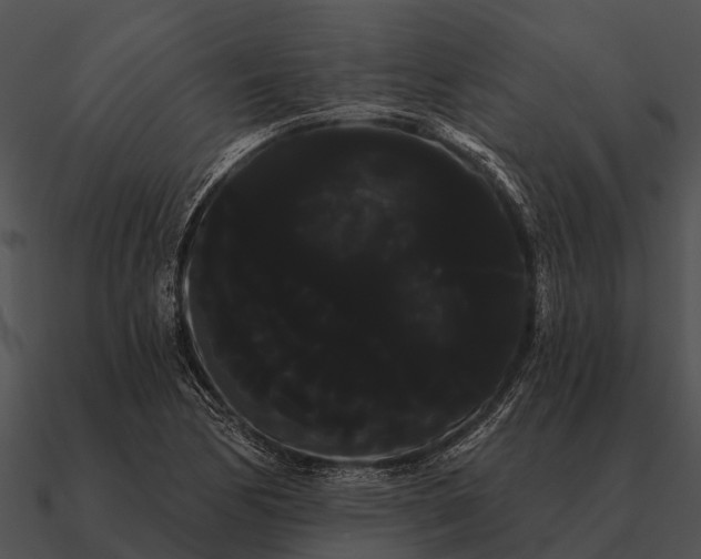 X0000090711170200708031427