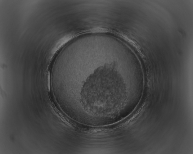 X0000090711171200708031427