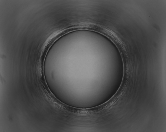 X0000090711172200708031427