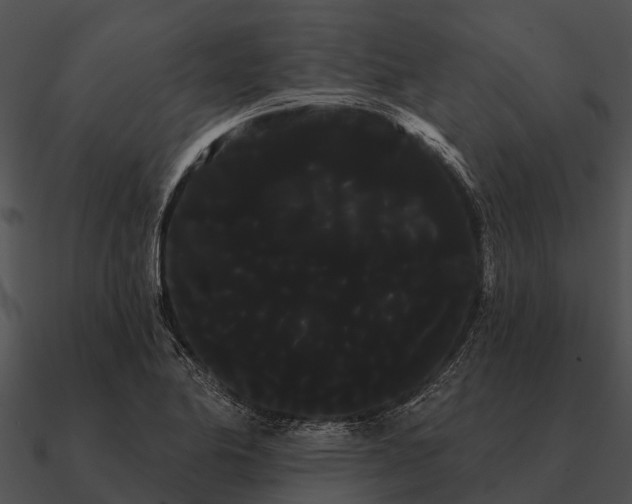 X0000090711174200708031427