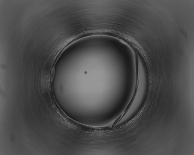 X0000090711177200708031427