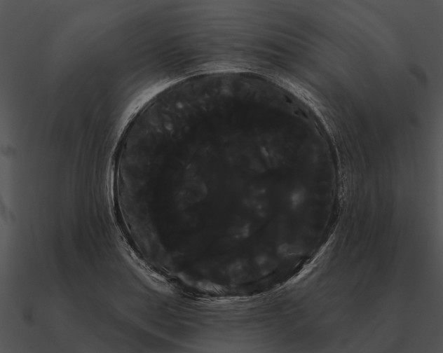 X0000090711179200708031427