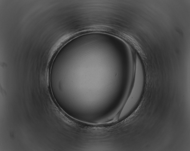 X0000090711180200708031427