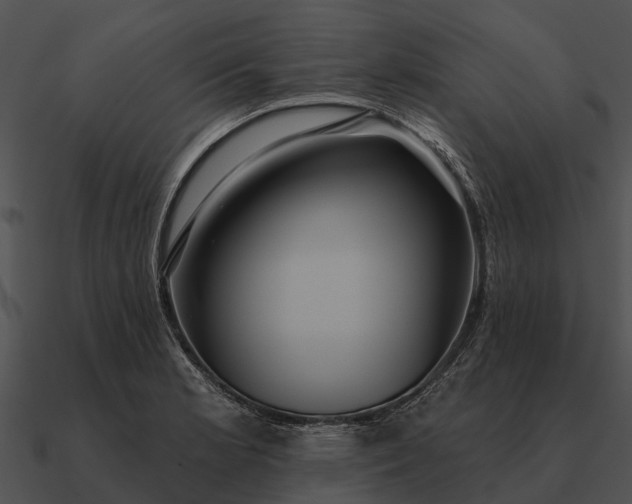 X0000090711181200708031427