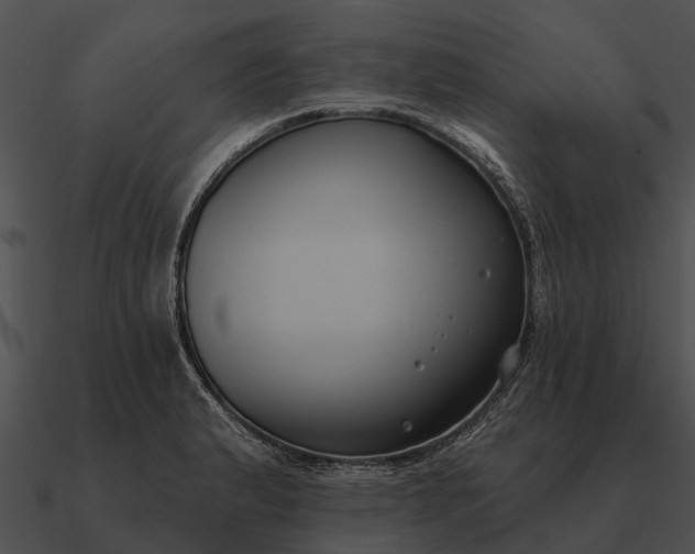 X0000090711183200708031427