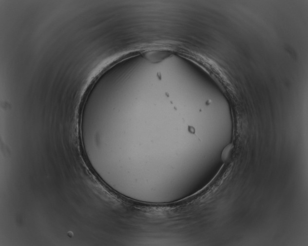 X0000090711184200708031427