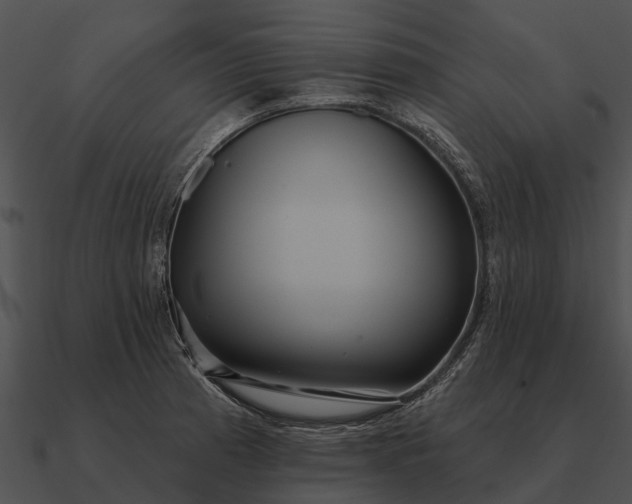 X0000090711185200708031427