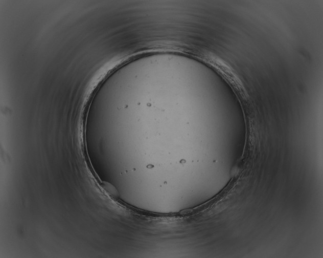 X0000090711188200708031427