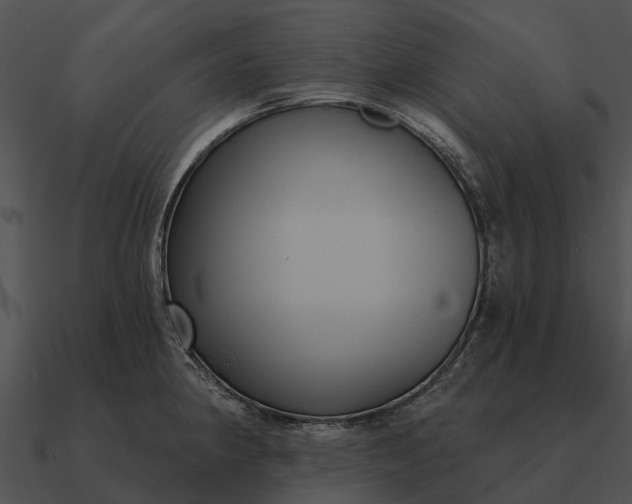 X0000090711190200708031427