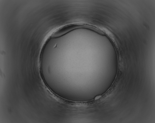 X0000090711191200708031427