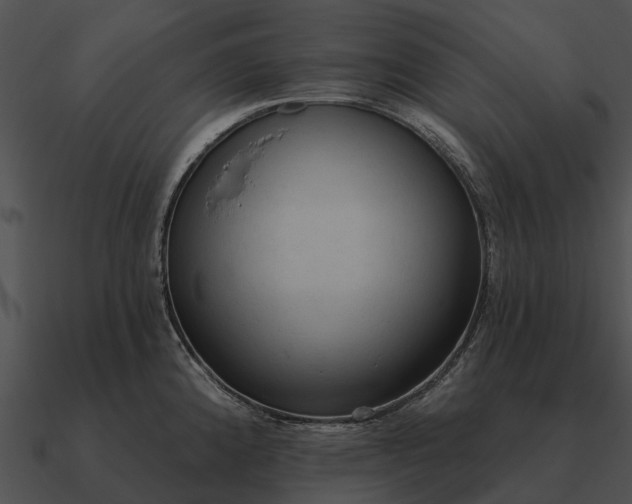 X0000090711192200708031427