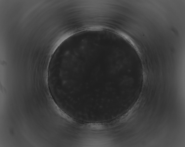 X0000090711194200708031427