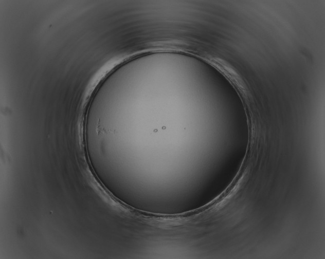 X0000090711196200708031427