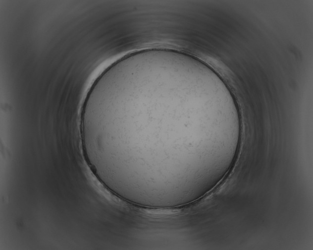 X0000090711200200708031427