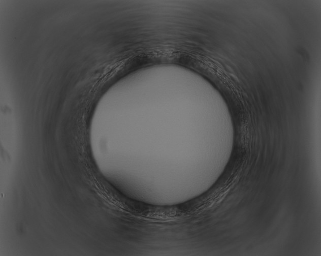 X0000090711201200708031426