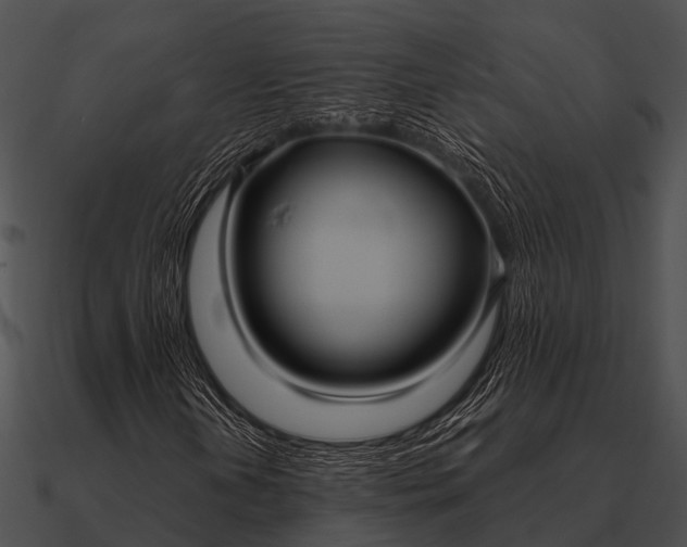 X0000090711202200708031426