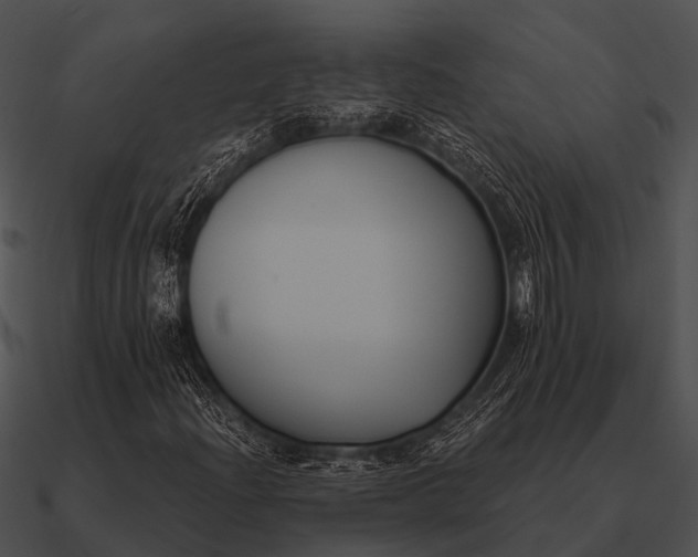 X0000090711204200708031426