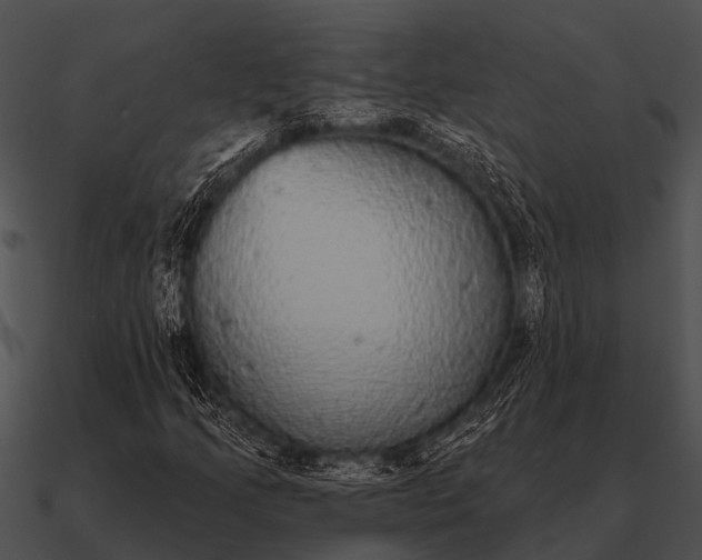 X0000090711205200708031426