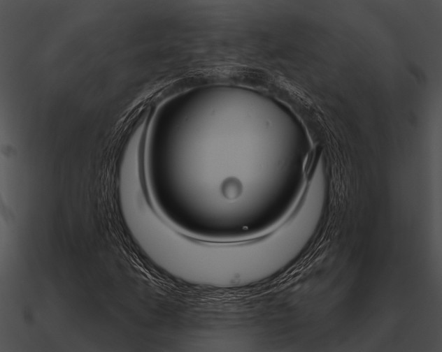 X0000090711206200708031426