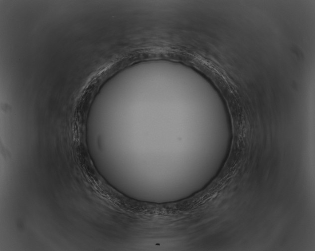 X0000090711207200708031426