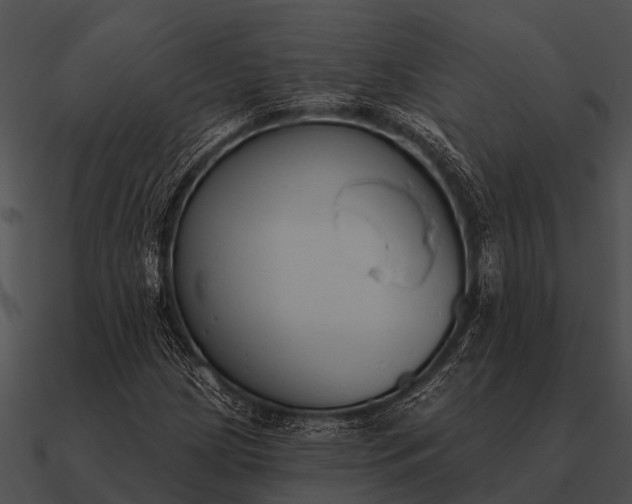 X0000090711209200708031426