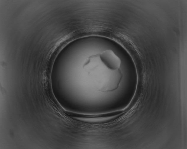 X0000090711210200708031426