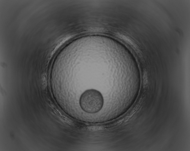 X0000090711212200708031426