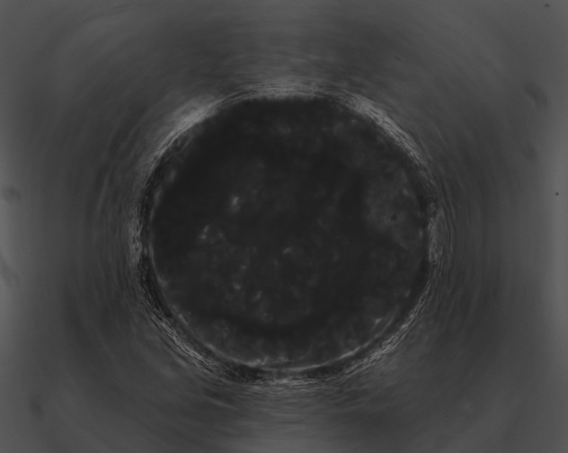 X0000090711213200708031426