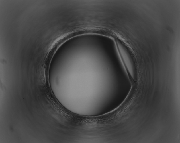 X0000090711214200708031426