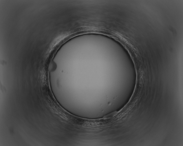 X0000090711215200708031426