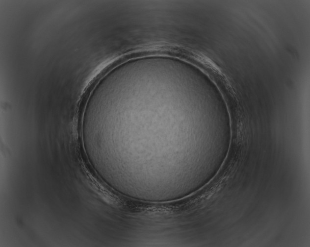 X0000090711216200708031426